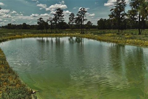 Terreno en venta en Starke, Florida № 2308711 - foto 21