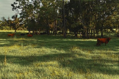 Terreno en venta en Starke, Florida № 2308711 - foto 3