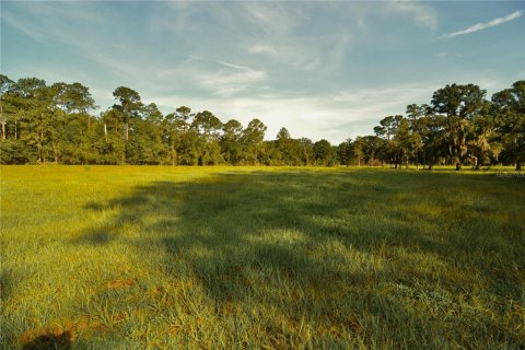 Terreno en venta en Starke, Florida № 2308711 - foto 12
