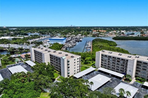 Condo in South Pasadena, Florida, 2 bedrooms  № 2314885 - photo 18