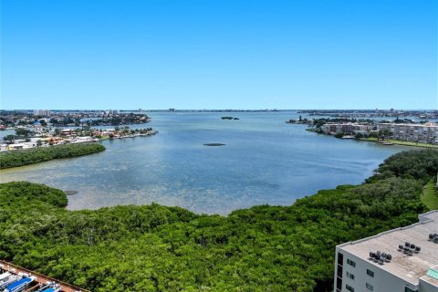Condo in South Pasadena, Florida, 2 bedrooms  № 2314885 - photo 27