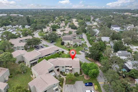 Condo in Tarpon Springs, Florida, 2 bedrooms  № 1913241 - photo 26