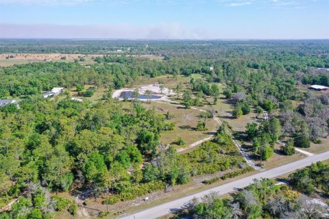 Land in Myakka City, Florida № 1555520 - photo 1