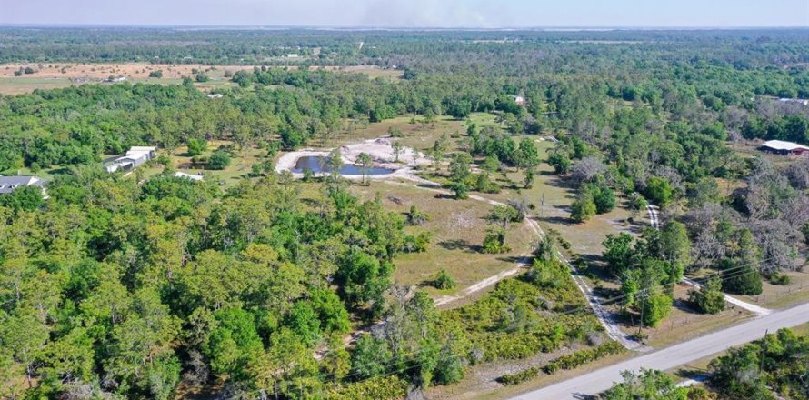 Land in Myakka City, Florida № 1555520