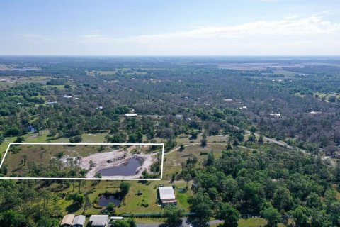 Land in Myakka City, Florida № 1555520 - photo 15
