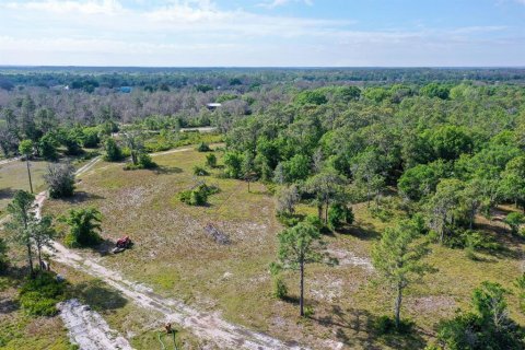 Land in Myakka City, Florida № 1555520 - photo 27