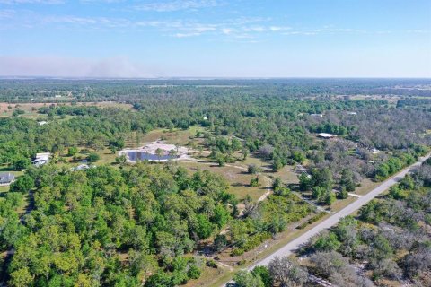 Land in Myakka City, Florida № 1555520 - photo 3