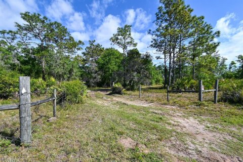 Land in Myakka City, Florida № 1555520 - photo 29