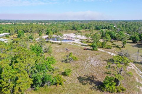 Land in Myakka City, Florida № 1555520 - photo 25