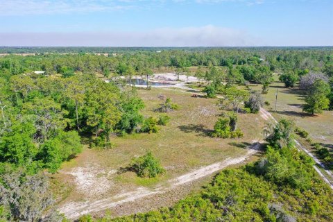 Land in Myakka City, Florida № 1555520 - photo 24