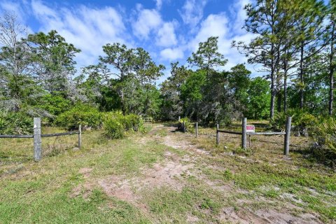 Land in Myakka City, Florida № 1555520 - photo 28