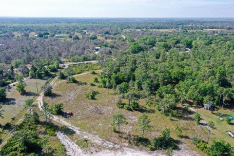 Land in Myakka City, Florida № 1555520 - photo 11