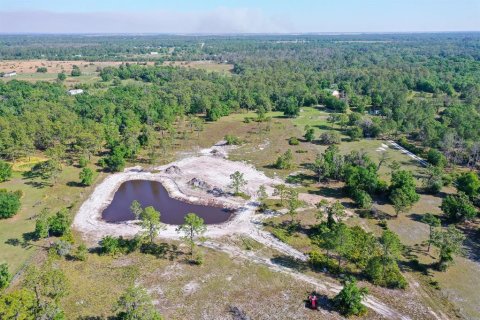Land in Myakka City, Florida № 1555520 - photo 21