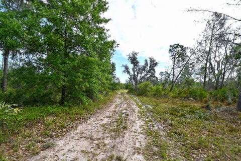 Land in Myakka City, Florida № 1555520 - photo 30