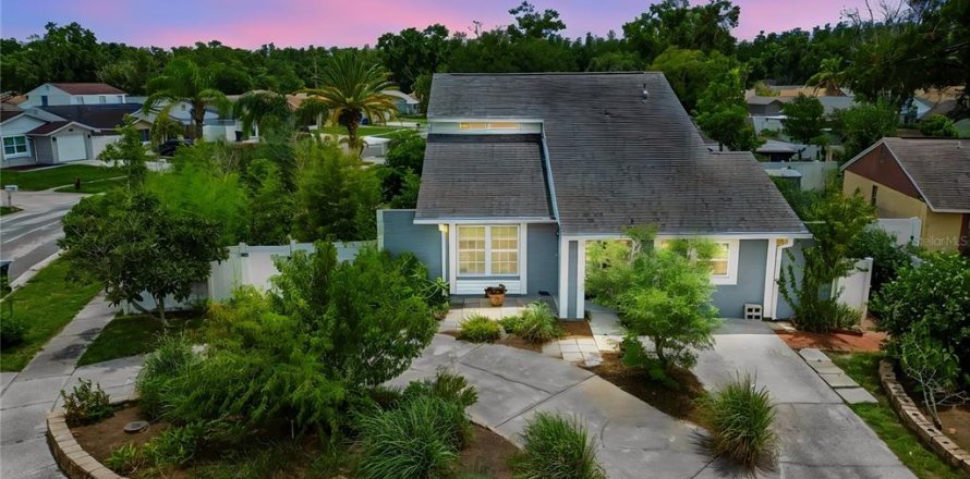 House in Tampa, Florida 4 bedrooms, 162.3 sq.m. № 2222989