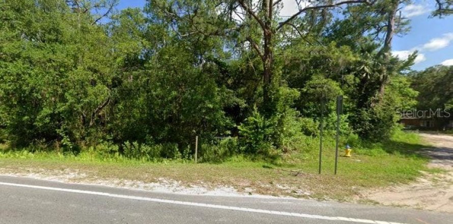 Terrain à DeLand, Floride № 1907956