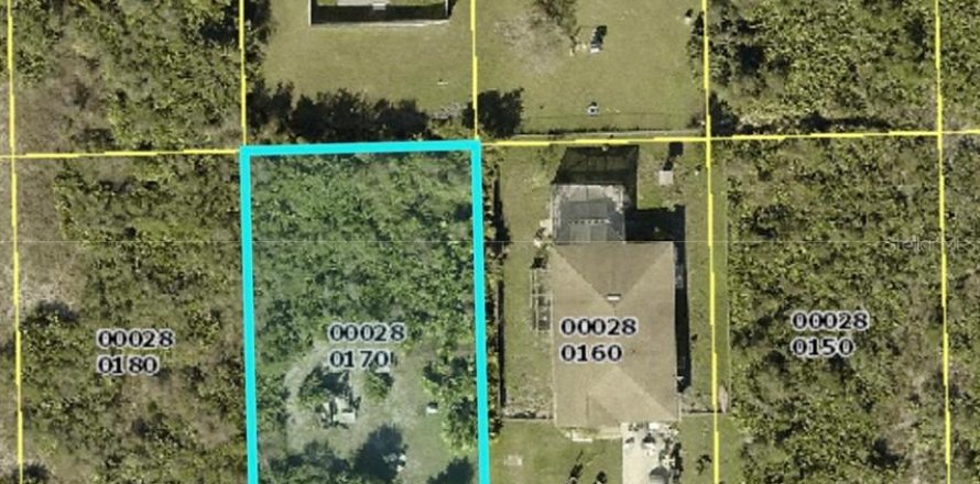 Land in Lehigh Acres, Florida № 2163304