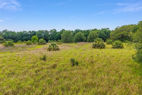 Land in Summerfield, Florida № 1795283 - photo 8