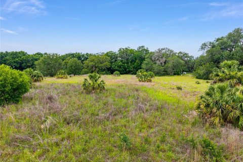 Land in Summerfield, Florida № 1795283 - photo 7