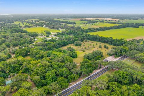 Land in Summerfield, Florida № 1795283 - photo 17