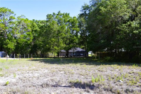 Land in Ocala, Florida № 2206312 - photo 3