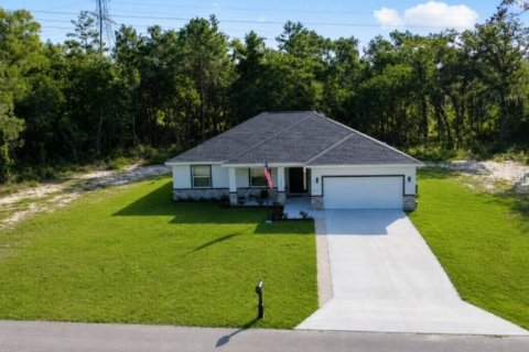 Villa ou maison à vendre à Dunnellon, Floride: 4 chambres, 178.47 m2 № 2337298 - photo 2
