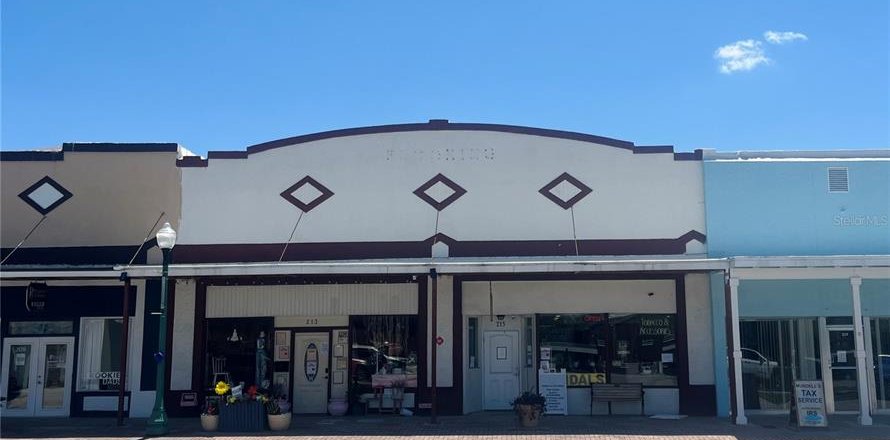 Propiedad comercial en Arcadia, Florida 687.48 m2 № 2213988
