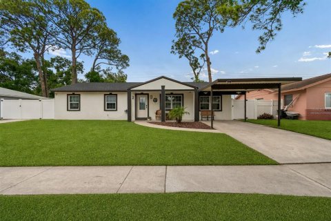House in Tampa, Florida 6 bedrooms, 198.53 sq.m. № 2117064