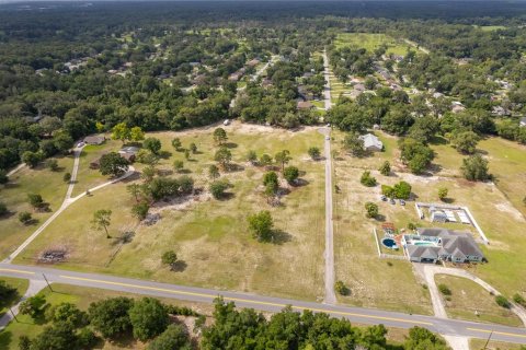 Land in DeLand, Florida № 2215319 - photo 6