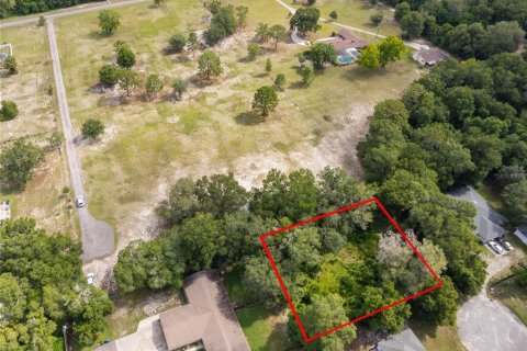 Land in DeLand, Florida № 2215319 - photo 10