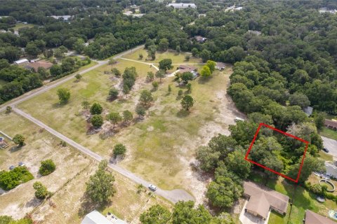 Land in DeLand, Florida № 2215319 - photo 8