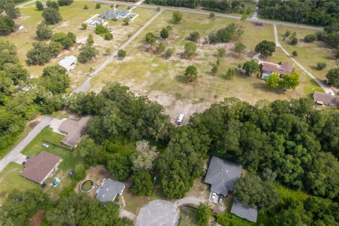 Land in DeLand, Florida № 2215319 - photo 12