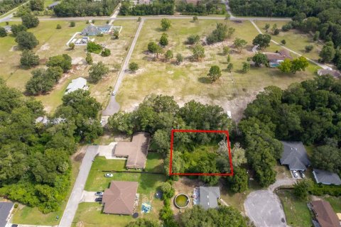 Land in DeLand, Florida № 2215319 - photo 11