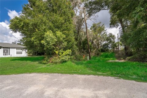 Land in DeLand, Florida № 2215319 - photo 13