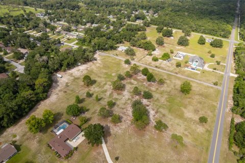 Land in DeLand, Florida № 2215319 - photo 4