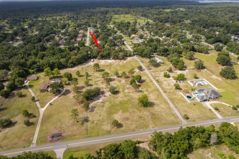 Land in DeLand, Florida № 2215319 - photo 5