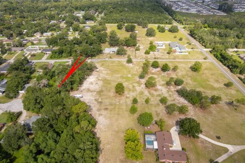 Land in DeLand, Florida № 2215319 - photo 3