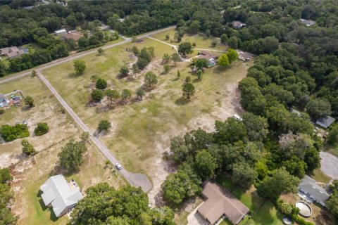 Land in DeLand, Florida № 2215319 - photo 9