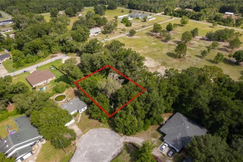 Land in DeLand, Florida № 2215319 - photo 2