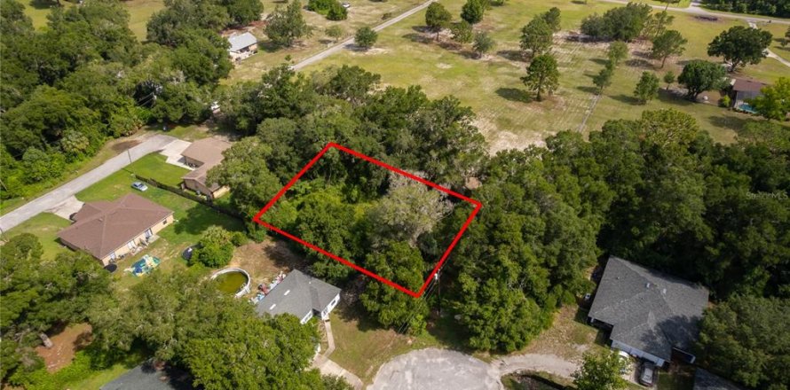 Land in DeLand, Florida № 2215319
