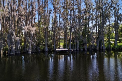 Casa en venta en Lutz, Florida, 3 dormitorios, 319.68 m2 № 2211723 - foto 9