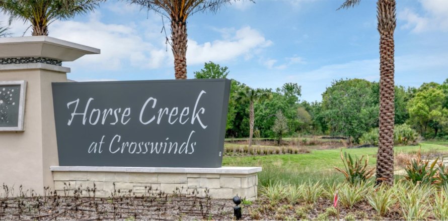 Horse Creek in Davenport, Florida № 328492
