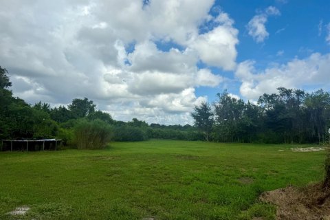 Immobilier commercial à Lake Placid, Floride № 2400821