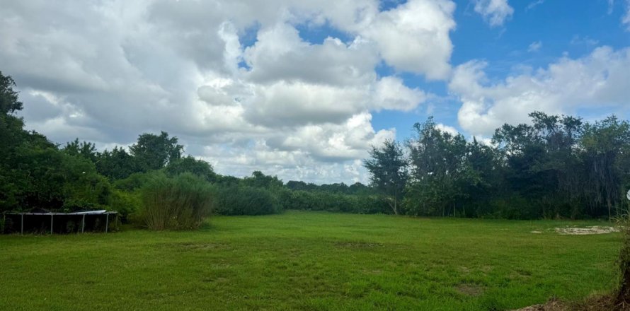 Immobilier commercial à Lake Placid, Floride № 2400821