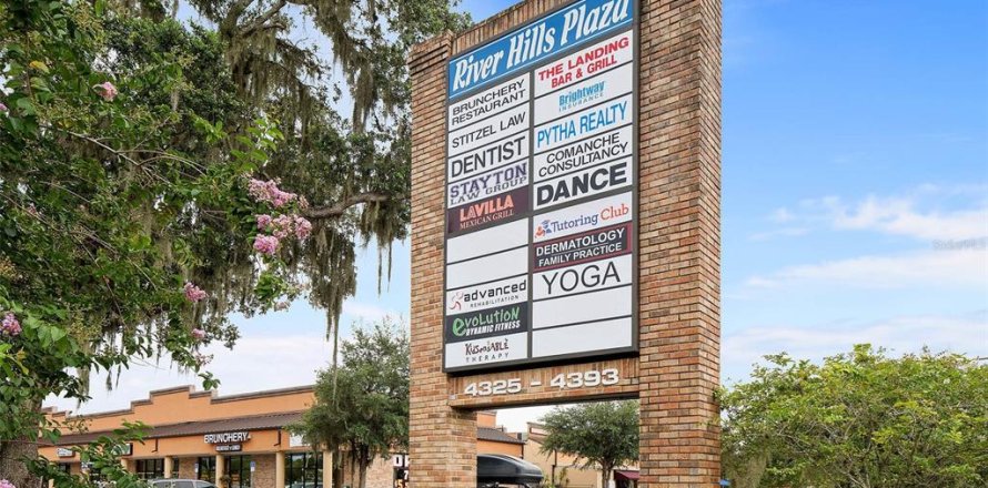 Commercial property in Valrico, Florida 3219.06 sq.m. № 2109640