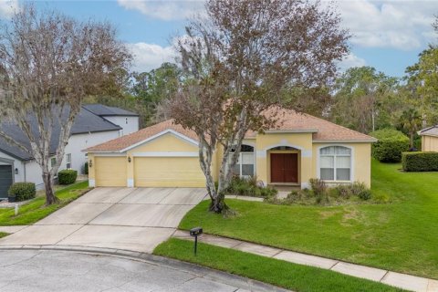 House in Fish Hawk, Florida 4 bedrooms, 285.95 sq.m. № 2104640
