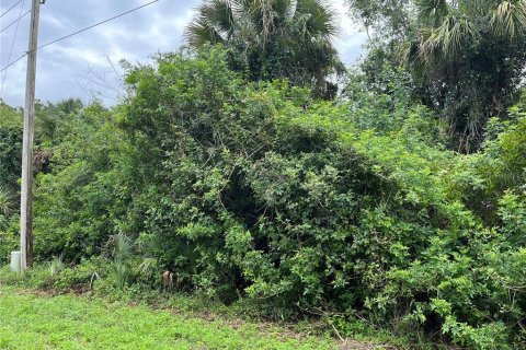 Land in Lehigh Acres, Florida № 2165191 - photo 3