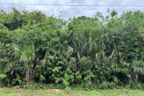 Land in Lehigh Acres, Florida № 2165191 - photo 2