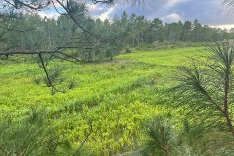 Terrain à vendre à DeLand, Floride № 2156577 - photo 3