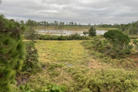 Terrain à vendre à DeLand, Floride № 2156577 - photo 22